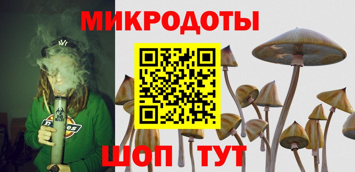 Новокуйбышевск  Галлюциногенные грибы мухоморы  наркота  Вход с VPN 
